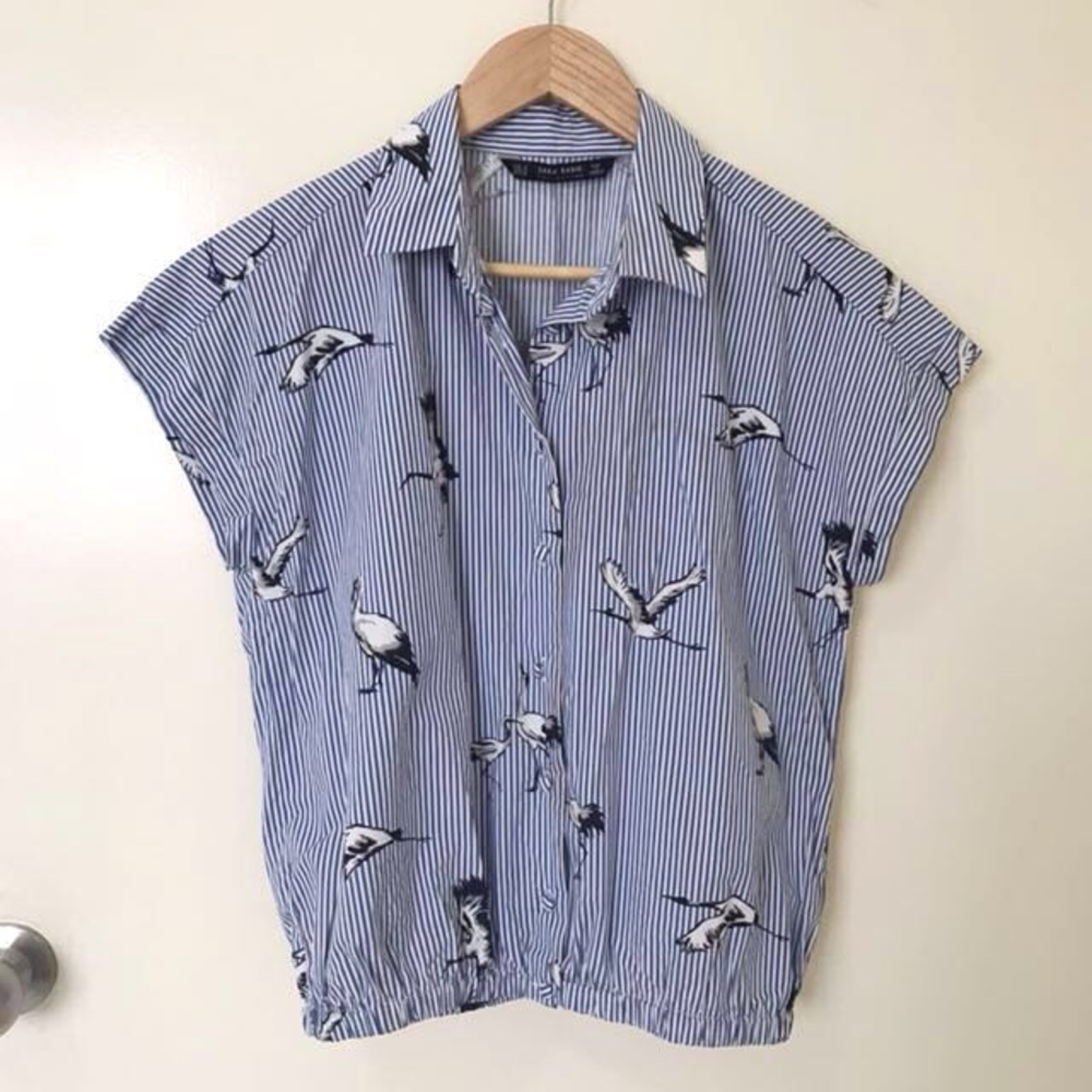 Zara bird top